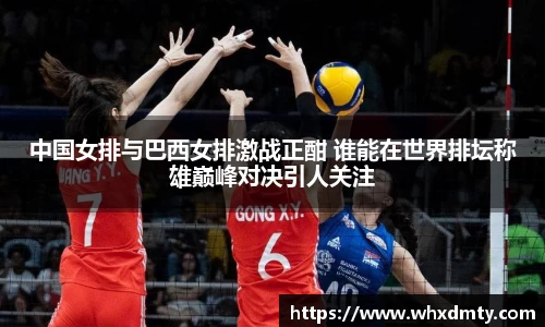 必博bibo官网