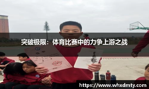 必博bibo体育